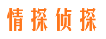 皇姑市侦探调查公司